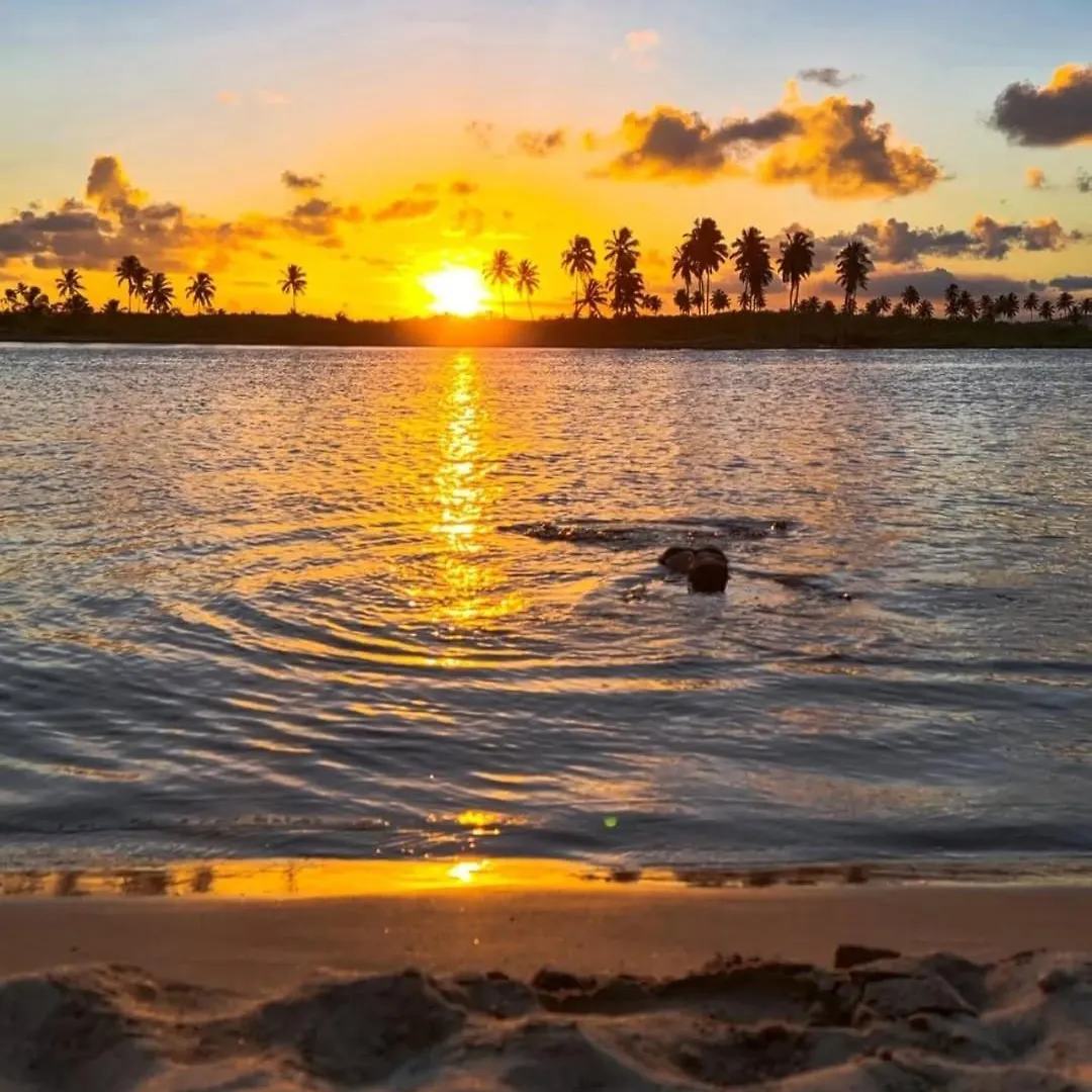 Beira Mar Suites Maracaipe Porto de Galinhas Hotel